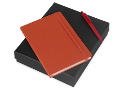 Подарочный набор Vision Pro soft-touch с ручкой и блокнотом А5, оранжевый