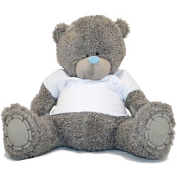 Мягкая игрушка "Медведь Teddy в футболке" (30 см. серый в футболке)