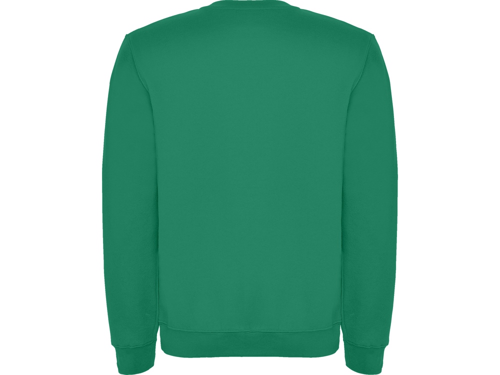 Свитшот с начесом Clasica унисекс, зеленый