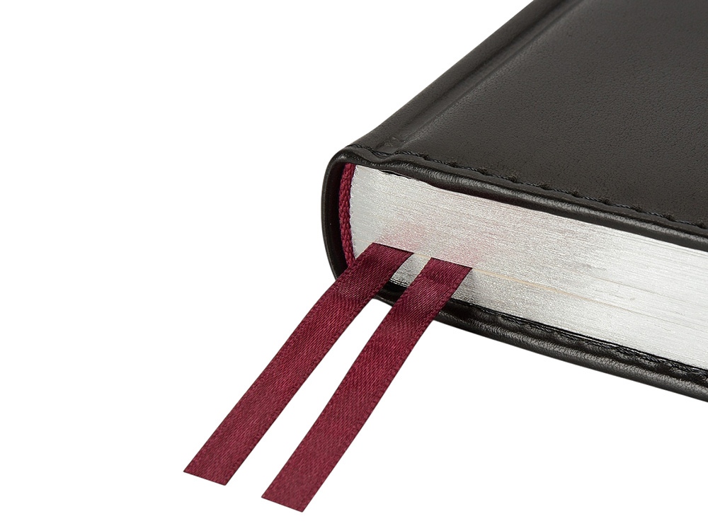 Ежедневник недатированный А5 Parliament, черный