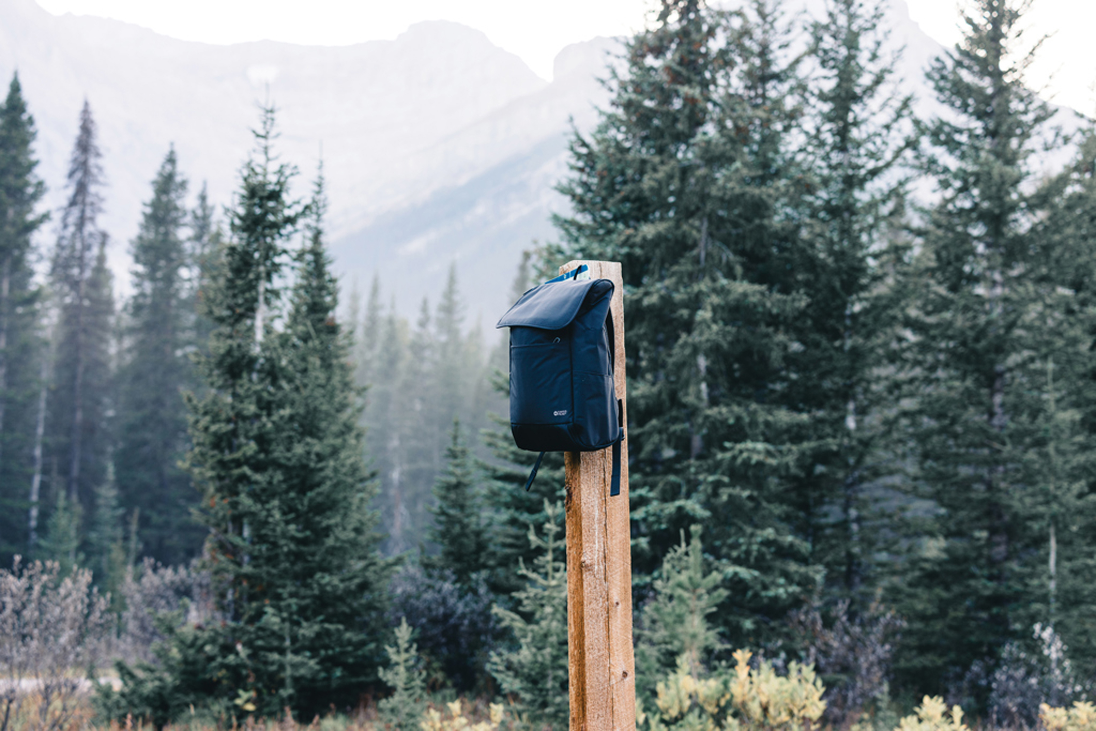 Рюкзак для ноутбука Swiss Peak Fern из rPET AWARE, 15,6