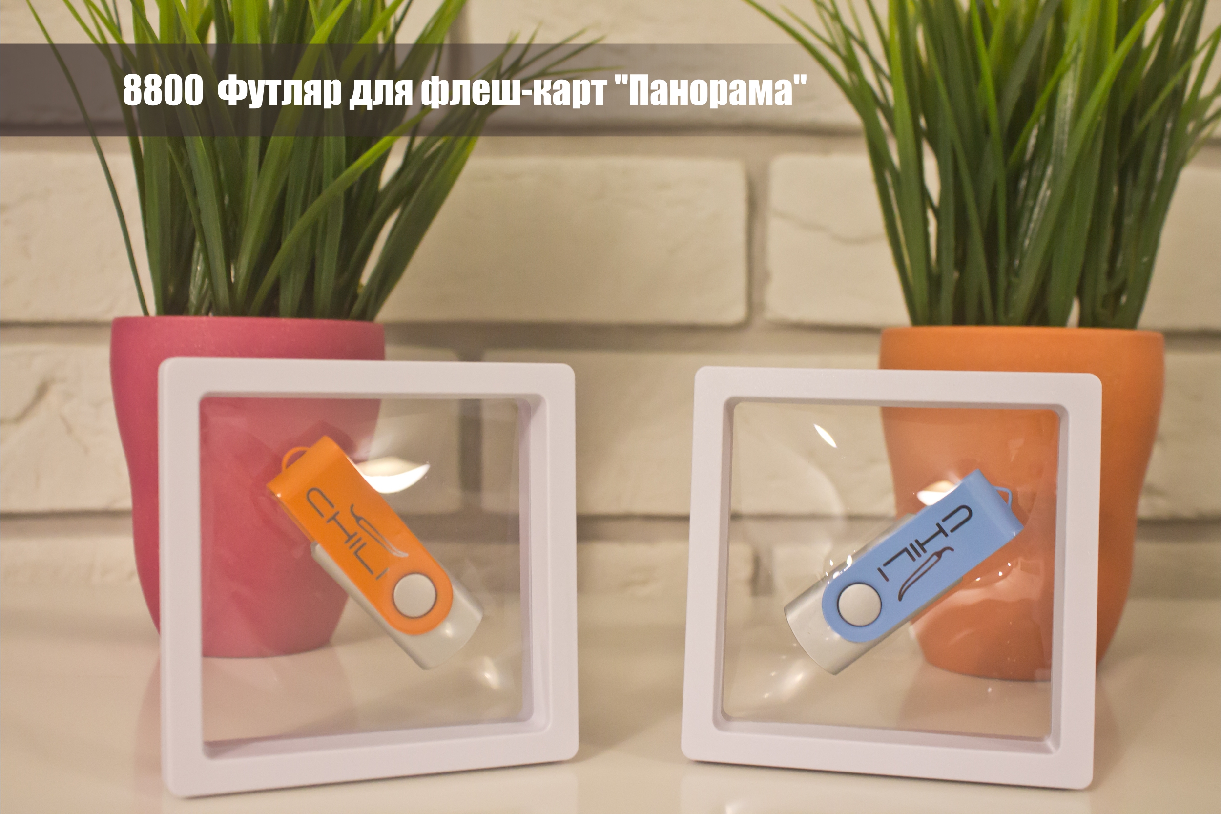Футляр для флеш-карт "Панорама"