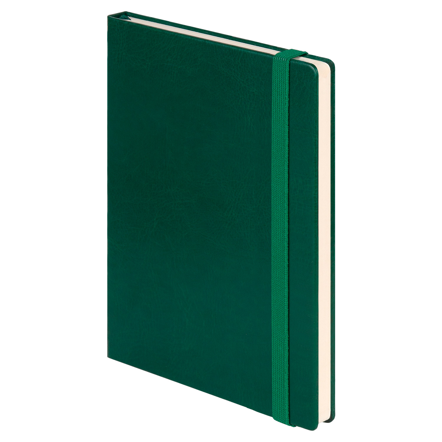 Ежедневник недатированный Voyage BtoBook, зеленый (без упаковки, без стикера)