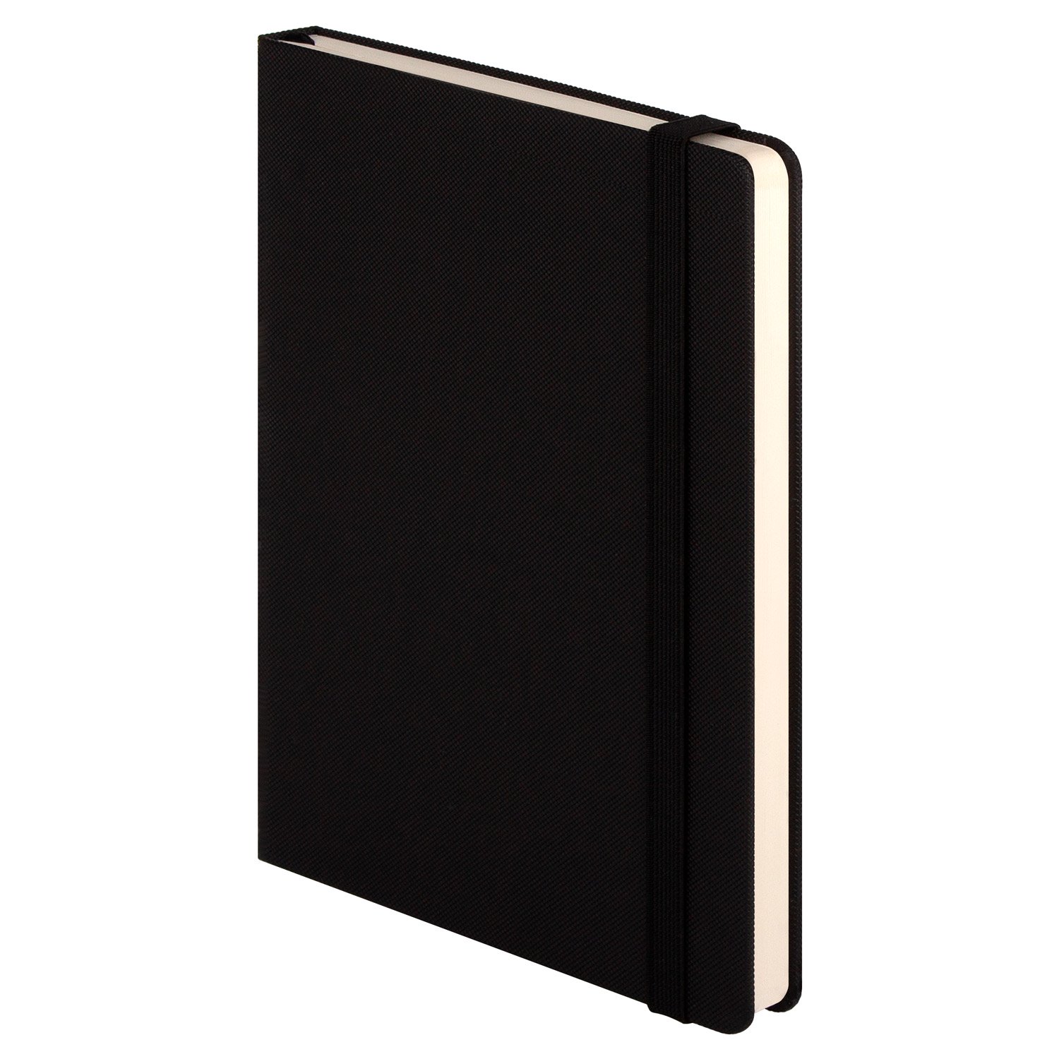 Ежедневник недатированный Canyon BtoBook, черный (без упаковки, без стикера)