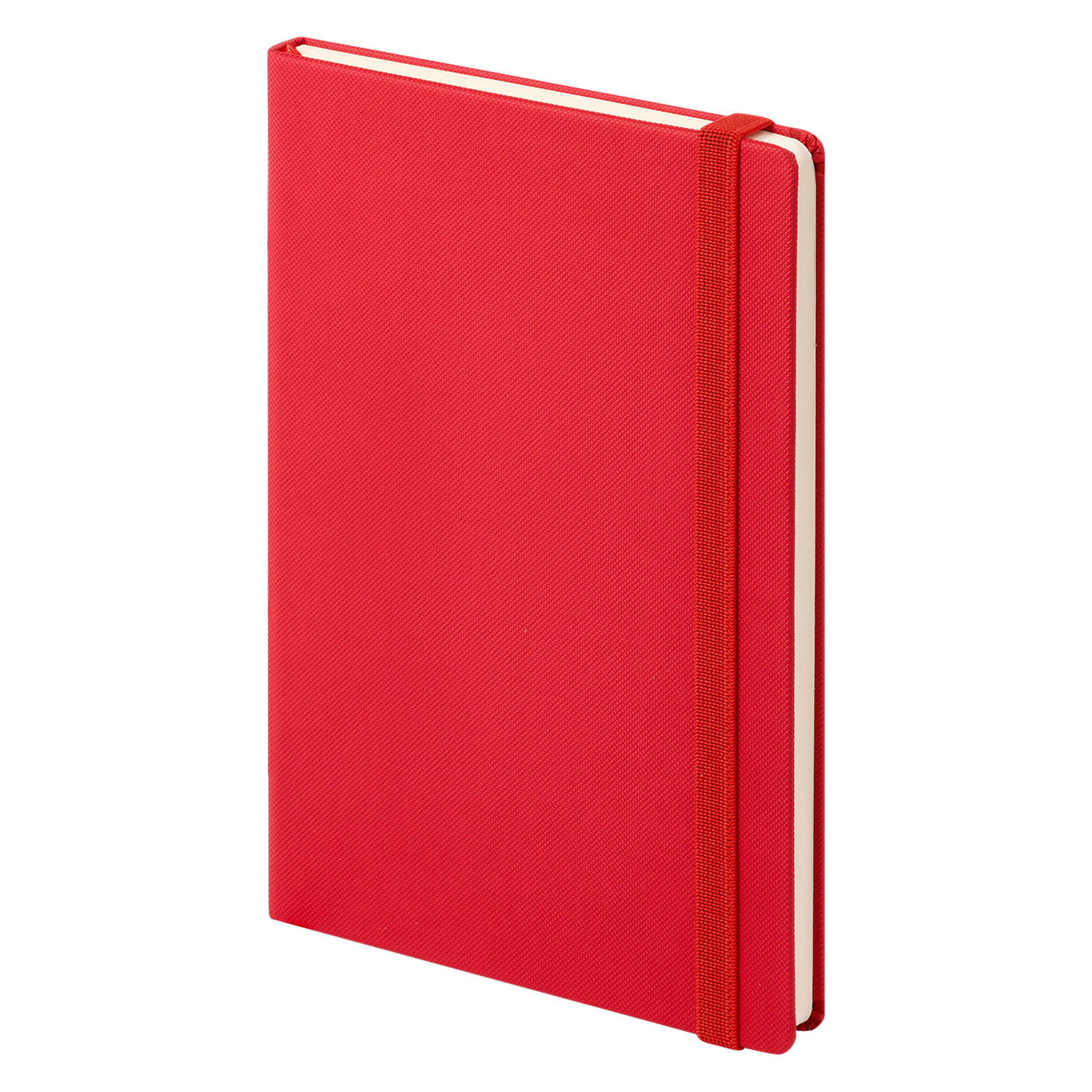 Ежедневник недатированный Canyon Btobook, красный (без упаковки, без стикера)