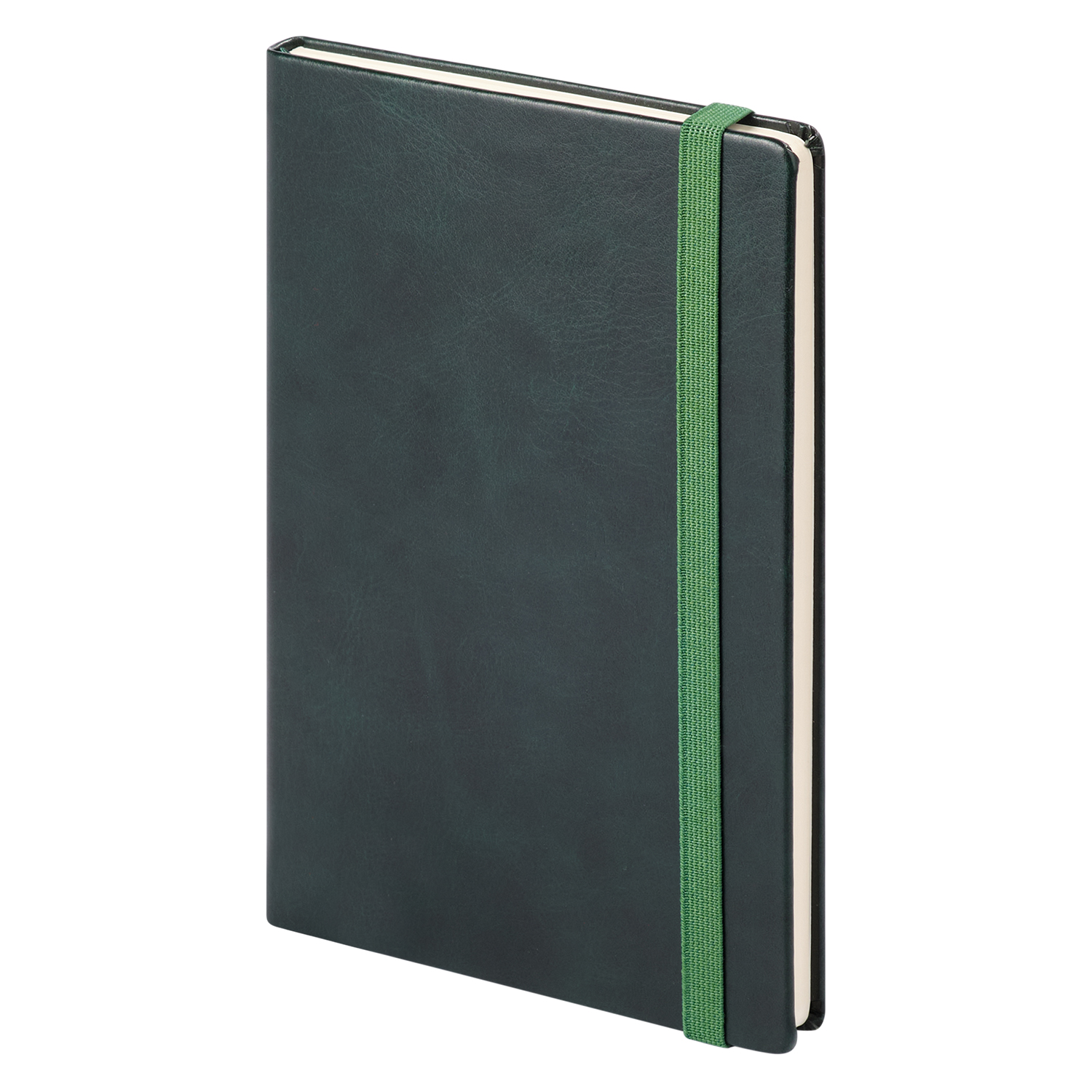 Ежедневник недатированный Vegas Btobook, зеленый (без упаковки, без стикера)