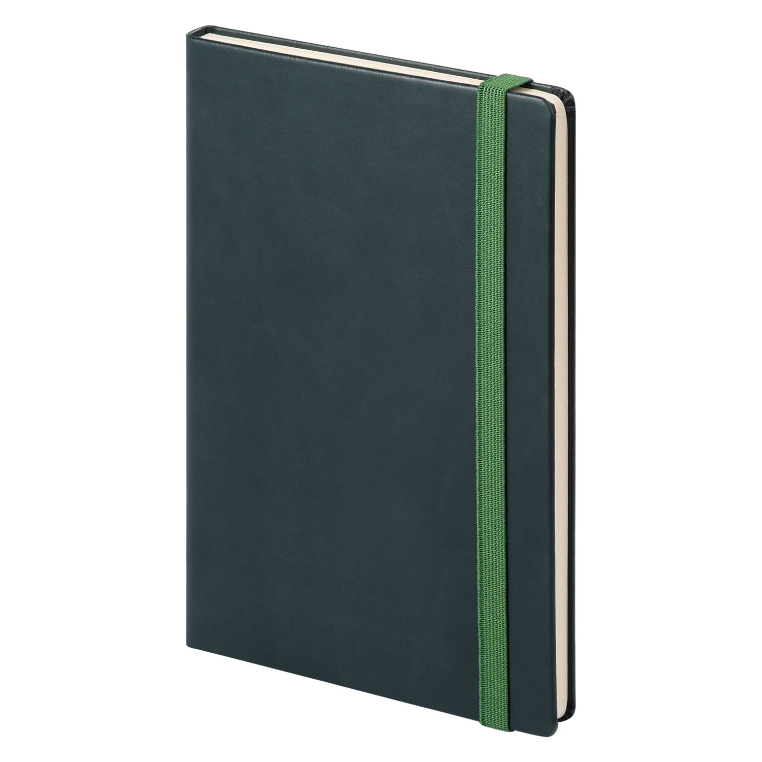 Ежедневник недатированный Portland Btobook, зеленый (без упаковки, без стикера)