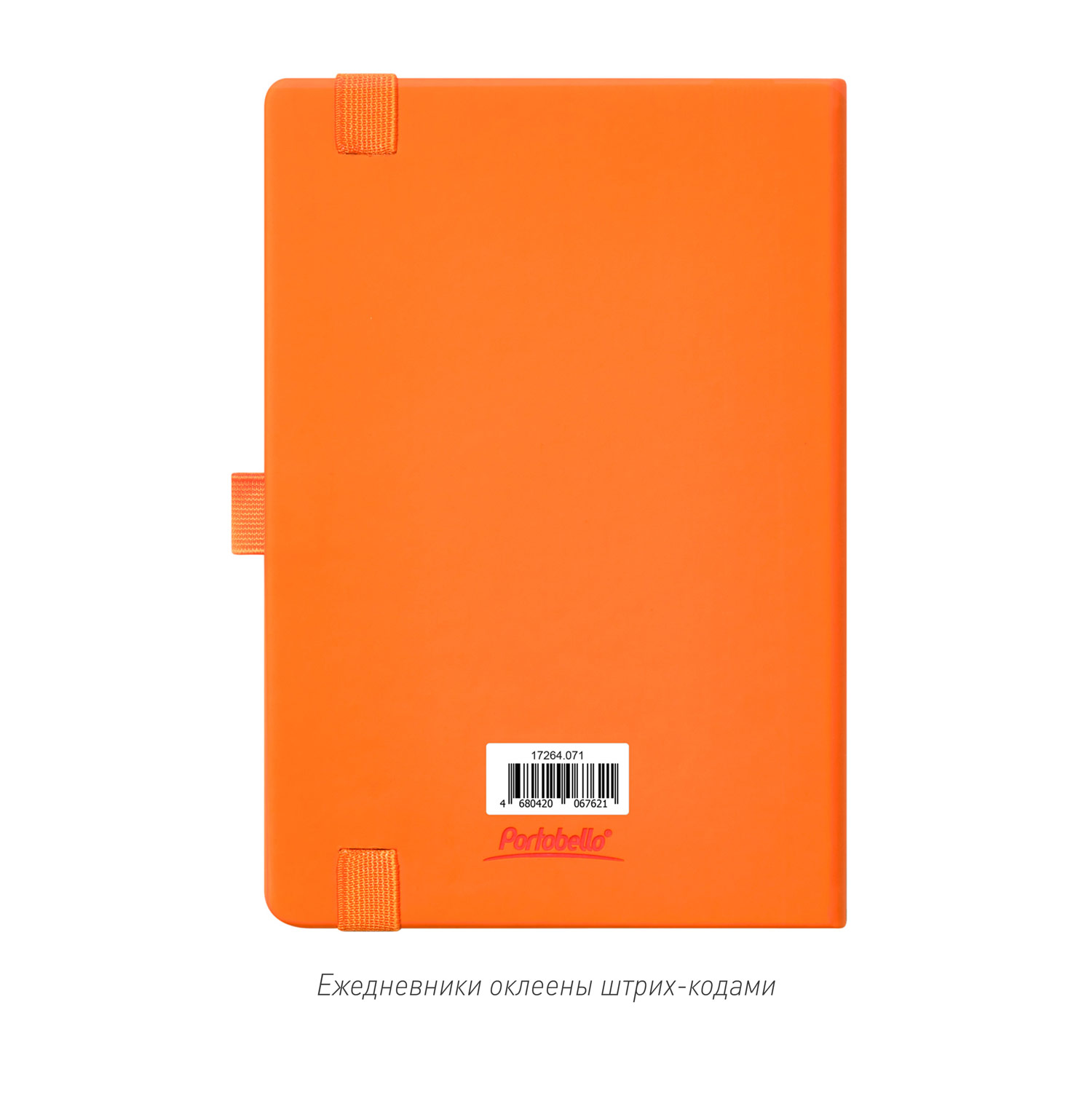Ежедневник Alpha недатированный, оранжевый/оранжевый