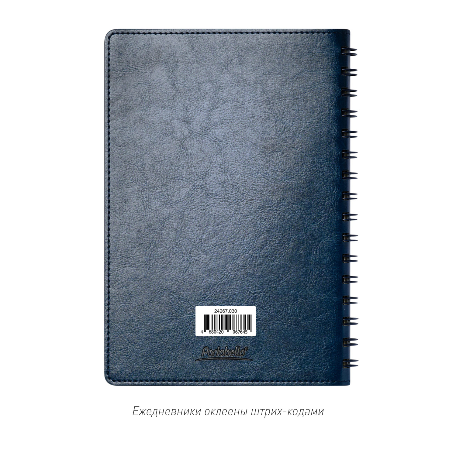 Ежедневник Vista Neo недатированный, синий