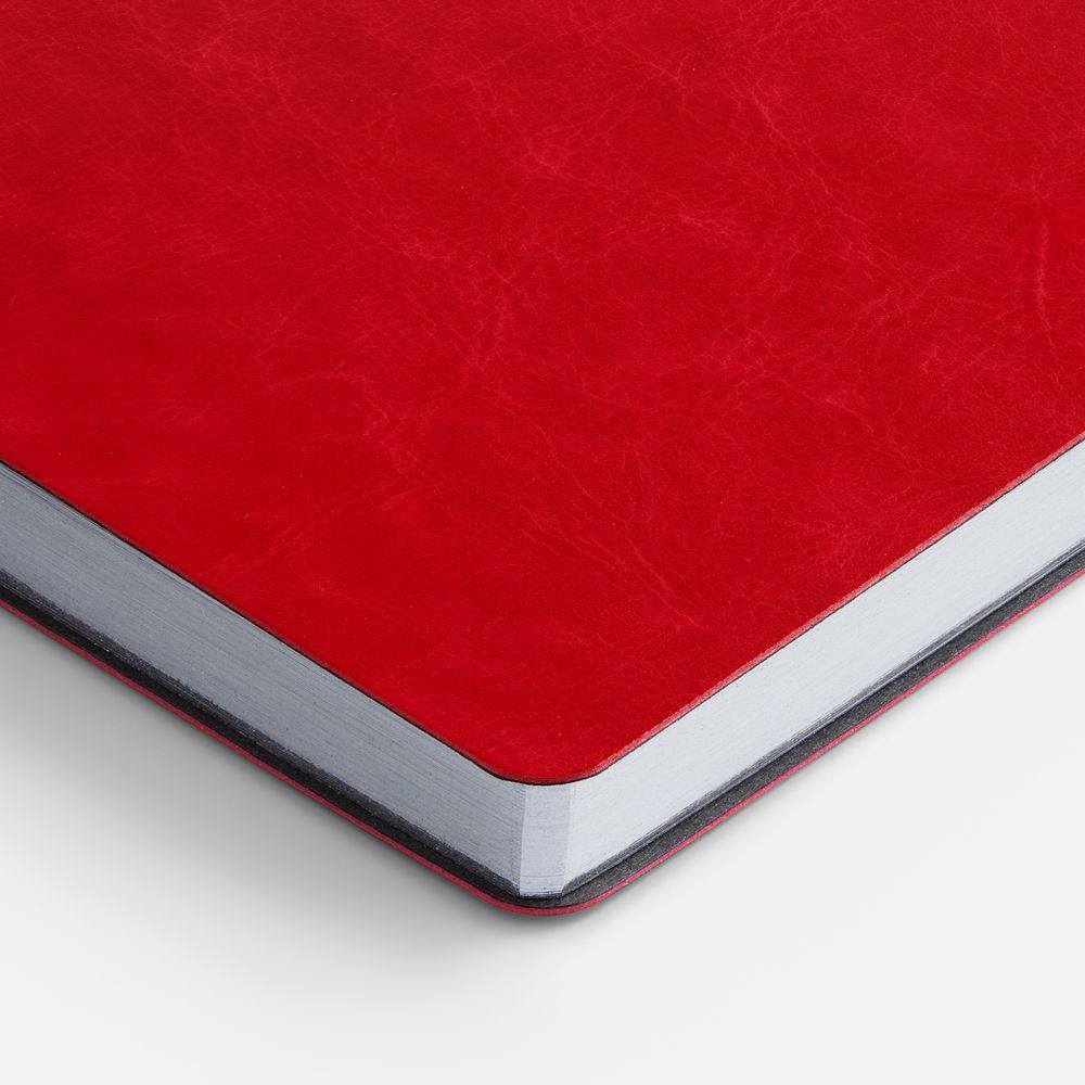 Ежедневник Nebraska Flex, недатированный, красный с серебристым