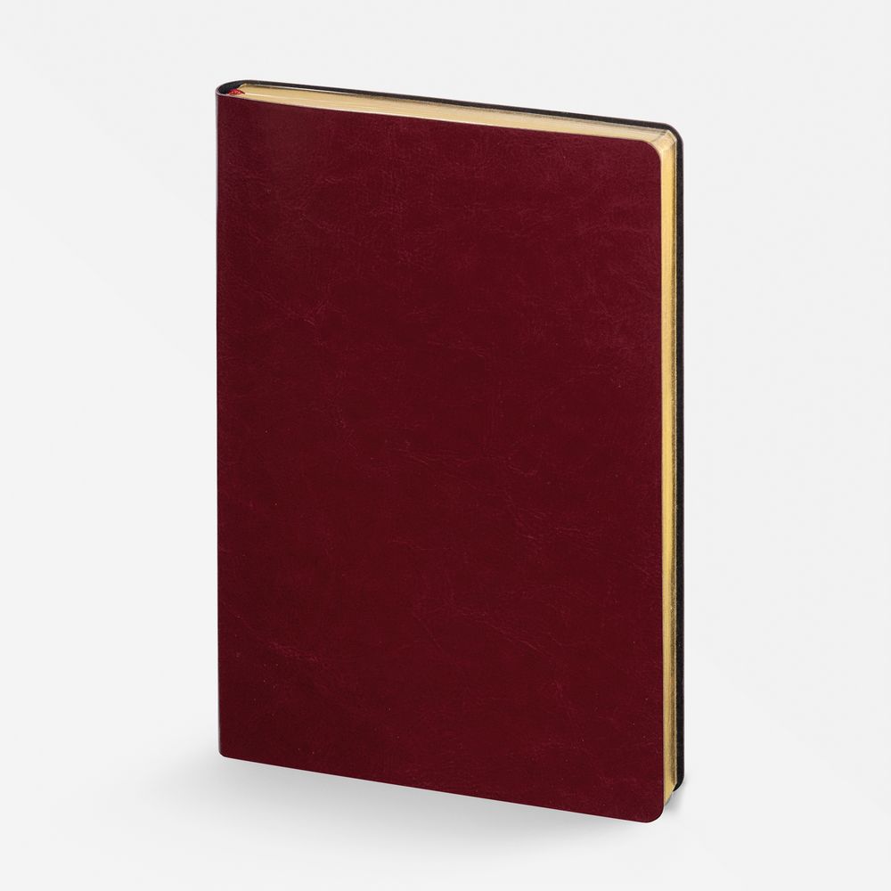 Ежедневник Nebraska Flex, недатированный, бордовый с золотистым