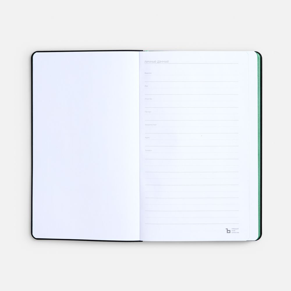 Ежедневник Nice Twice, недатированный, черный с ярко-зеленым