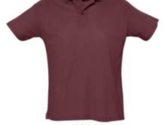 Рубашка поло мужская SUMMER II, бордовый, 2XL, 100% хлопок, 170 г/м2